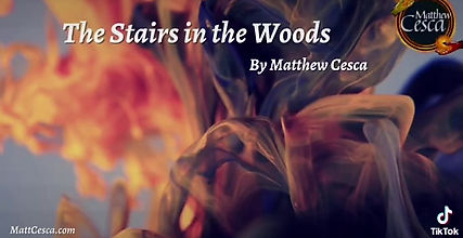 The Stairs in the Woods Video #1